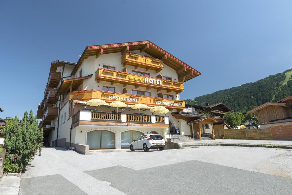 Hotel Schneeberger Нідерау Екстер'єр фото